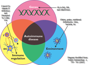 Autoimmune disease diagram