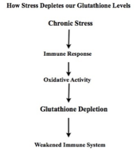 How stress causes autoimmunity